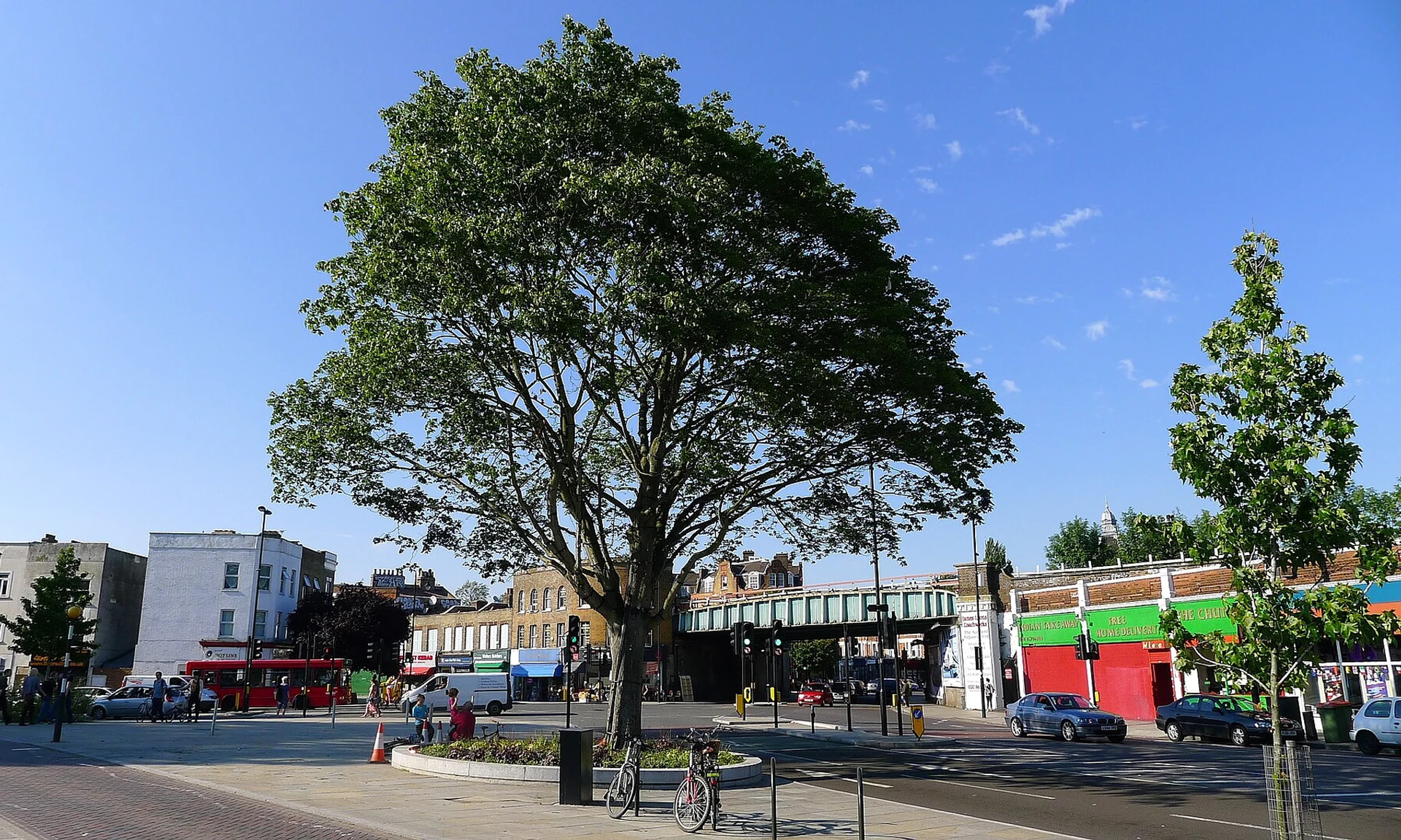 Herne Hill junction and surrounding neighbourhood